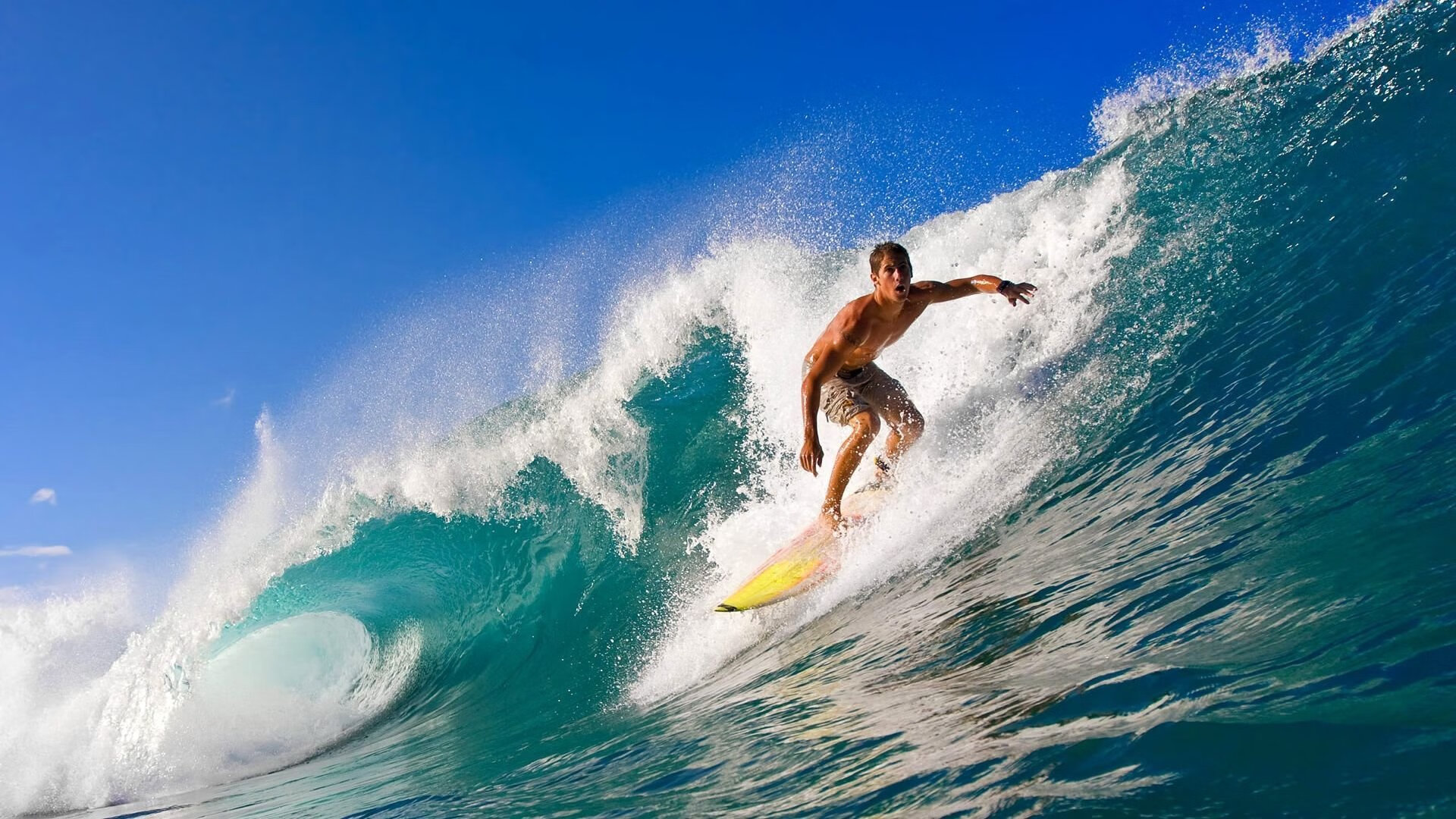 开云体育平台-卢顿镇主场气势如虹，草地球场冲击前列，卢登vn